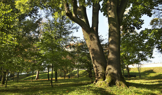 HOTEL CRISTAL PARK DABROWA TARNOWSKA Dąbrowa Tarnowska