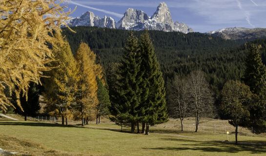 AI TRE PONTI San Martino