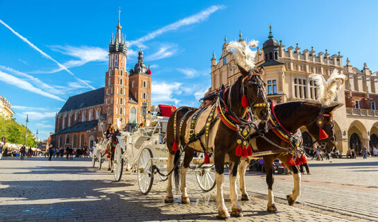 CROWN PIAST HOTEL & SPA Krakau