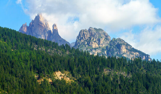 HOTEL ROSALPINA Soraga di Fassa (TN)