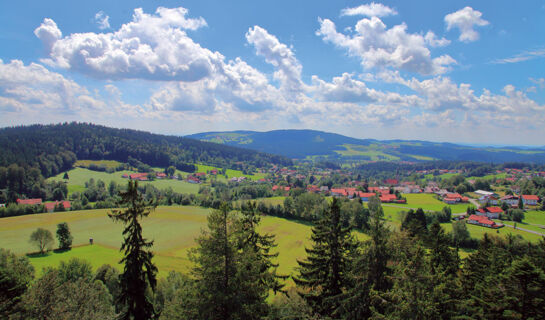 HOTEL GOTTINGER Waldkirchen