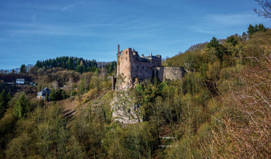 ACHATHOTEL ZUM SCHWAN Idar-Oberstein