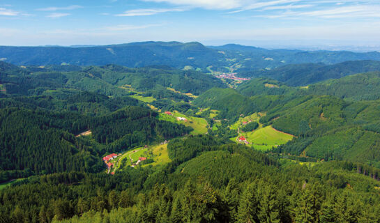 HOTEL RESTAURANT OCHSENWIRTSHOF Bad Rippoldsau