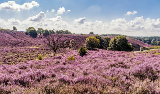 FLETCHER HOTEL-LANDGOED HUIS TE EERBEEK Eerbeek