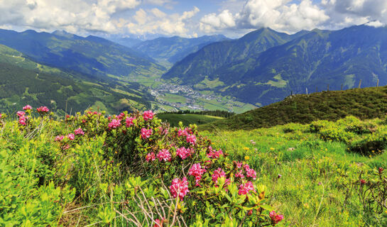 SMARTHOTEL (B&B) Dorfgastein