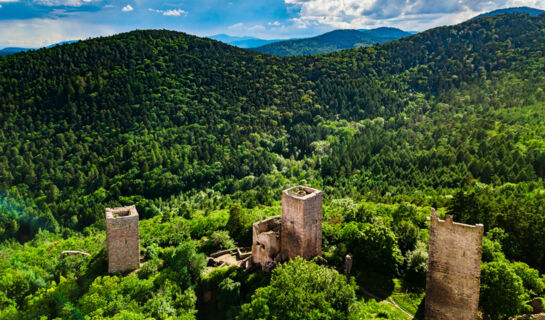 LA PERLE DES VOSGES Muhlbach-sur-Munster