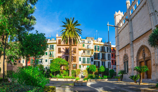 HOTEL TROPICAL Playa de Palma