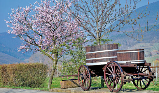 ACHAT HOTEL NEUSTADT AN DER WEINSTRAßE (B&B) Neustadt an der Weinstraße