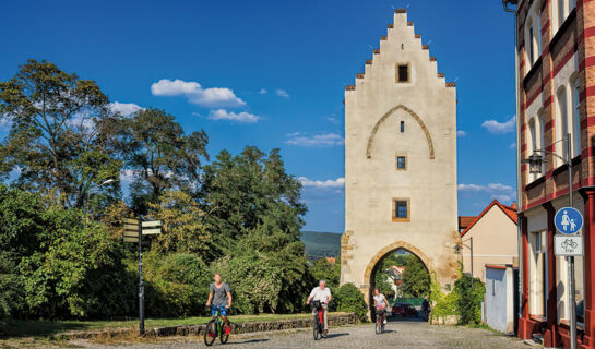 WERRAPARK RESORT HOTEL SOMMERBERG Masserberg