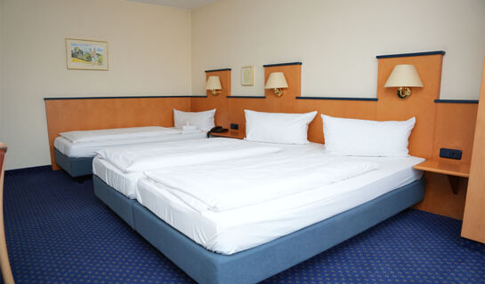 RHEINHOTEL RÜDESHEIM Rüdesheim