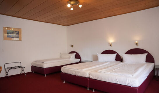 RHEINHOTEL RÜDESHEIM Rüdesheim