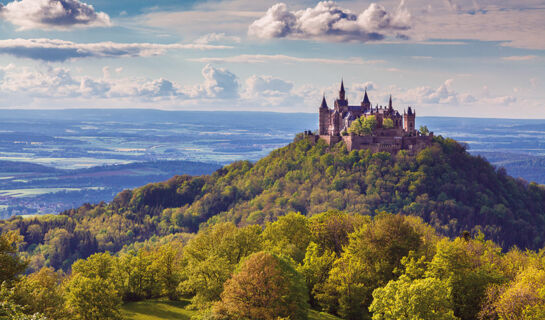 HOTEL TRAUBE Lossburg