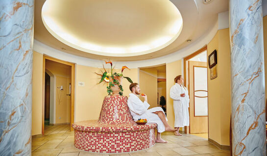 AKZENT WELLNESSHOTEL BAYERWALD-RESIDENZ Neukirchen (BA)