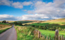 LOVELADY SHIELD COUNTRY HOUSE HOTEL Alston