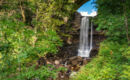 LOVELADY SHIELD COUNTRY HOUSE HOTEL Alston