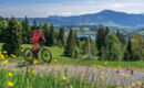 HIERLHOF (B&B) Immenstadt im Allgäu