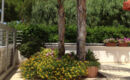 HOTEL CORALLO (B&B) Carovigno