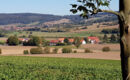 GASTHAUS ZUM LINDENWIRT Oberweser