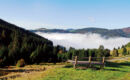 FERIENHOTEL SCHWARZWÄLDER HOF Feldberg-Altglashütten