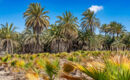 HOTEL HUERTO DEL CURA (B&B) Elche