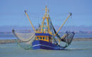 FAMILIEN- & APARTHOTEL STRANDHOF (B&B) Tossens