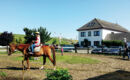 FAMILIEN- & APARTHOTEL STRANDHOF (B&B) Tossens