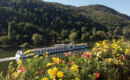 HOTEL ST. GEORG (B&B) Ediger-Eller