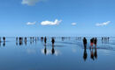 HOTEL WADDENGENOT Pieterburen