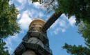 LANDHAUS & BURG HOTEL ROMANTIK (B&B) Gotha