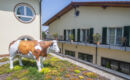 HOTEL RESTAURANT ZUM OCHSEN (B&B) Schallstadt