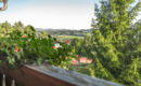 LANDHOTEL TANNENHOF Spiegelau
