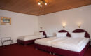 RHEINHOTEL RÜDESHEIM Rüdesheim