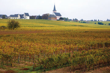 HOTEL WEINGUT DUCHMANN (B&B) Hochheim