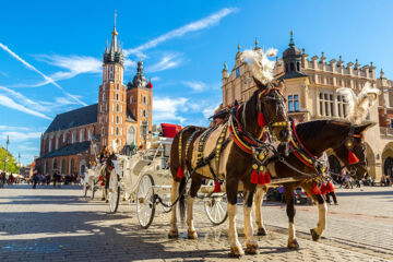 CROWN PIAST HOTEL & SPA Krakau