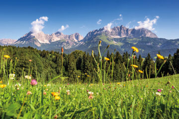 BOUTIQUE HOTEL BRUGGWIRT (B&B) St. Johann