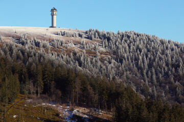 FERIENHOTEL SCHWARZWÄLDER HOF Feldberg-Altglashütten