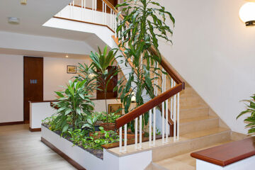 APARTHOTEL IMPERATRIZ Funchal