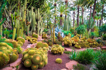 HOTEL JARDÍN DEL MILENIO Elche