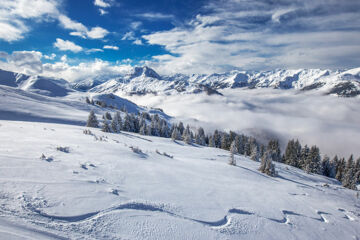 DAS ALPENREFUGIUM CRYSTAL (B&B) St. Johann