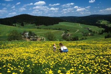 HOTEL WALDECK MIT RESTAURANT FLORIAN'S Feldberg-Altglashütten