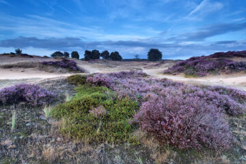 FLETCHER FAMILIEHOTEL DE HUNZEBERGEN Exloo