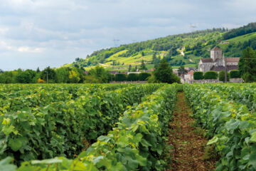 HOSTELLERIE BOURGUIGNONNE (B&B) Verdun-sur-le-Doubs