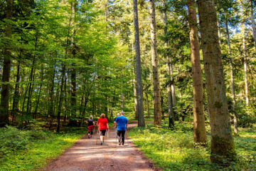 VITAL- UND WELLNESSHOTEL ALBBLICK Waldachtal